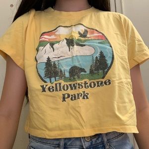light pastel yellow Yellowstone Park graphic crop